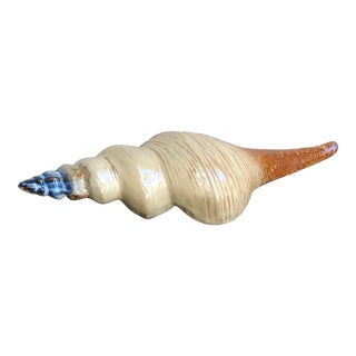 Late 20th Century Ceramic Conch Shell For Sale
