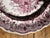 Early 19th Century 1830s Staffordshire Transferware Dinner Plate For Sale - Image 5 of 6