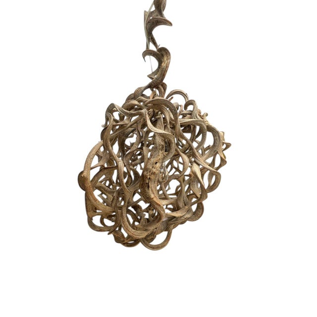 Hand-Crafted Organic Vine Root Pendant Lamp, 1980s For Sale - Image 6 of 14