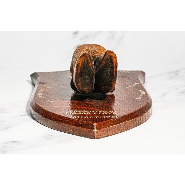 Nice Deer Hoof Wood Shield Mounted Antique English Taxidermy Hunting Trophy For Sale - Image 10 of 14