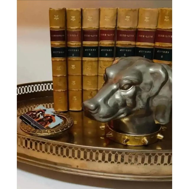 Antique Figural Dog Head Tobacco / Cigarette Box ~ Circa Late 19th Century For Sale - Image 9 of 10