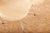 DAF Chair in Fiberglass by George Nelson for Herman Miller, 1958 For Sale - Image 11 of 14