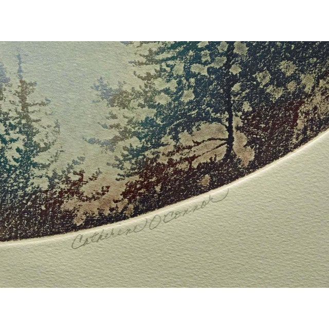 Catherine O'Connor "Spring Pines I & Ii" 2 Hand Signed Fine Art Etchings, Trees For Sale - Image 11 of 12