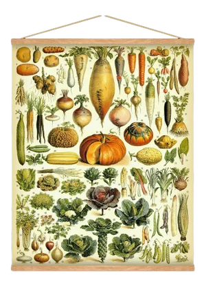 Antique 'Vegetable' Wall Hanging