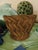 Boho Chic Mid-20th Century Boho Coastal Chic Loop Weave Pencil Reed Basket For Sale - Image 3 of 4