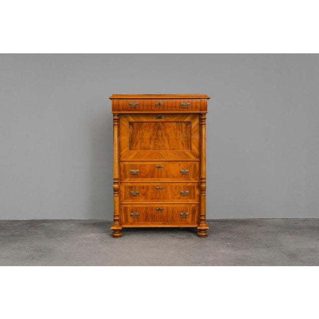 Gründerzeit Standing Secretary, 1900s For Sale - Image 3 of 18