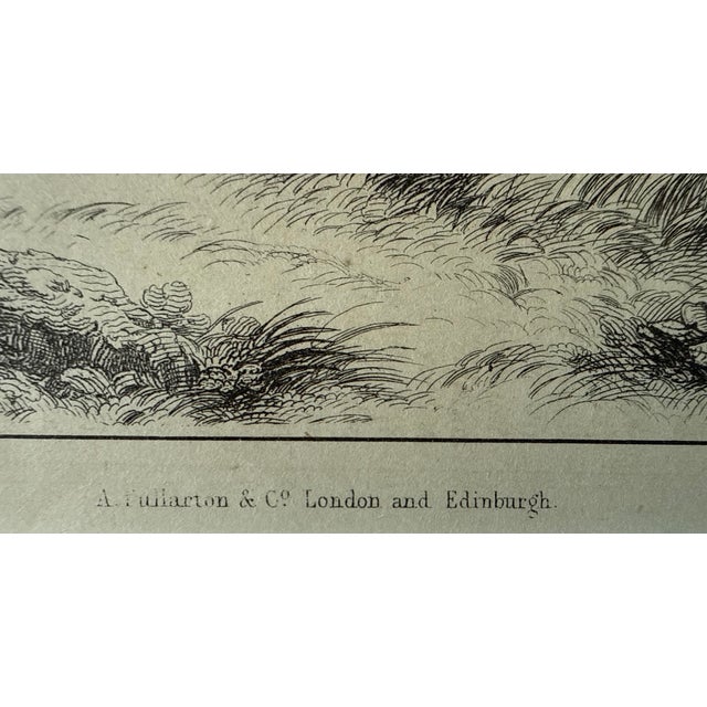 Wood Framed Antique Print From Oliver Goldsmith's "A History of the Earth and Animated Nature" For Sale - Image 7 of 9