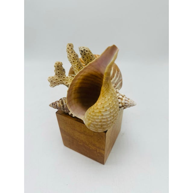 1960s Vintage Handmade Shell Sculpture For Sale - Image 5 of 6