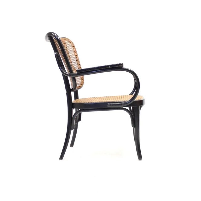 Model A 821 F Armchair by Eberhard Krauss for Thonet, 1930s For Sale - Image 10 of 17