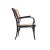 Model A 821 F Armchair by Eberhard Krauss for Thonet, 1930s For Sale - Image 10 of 17