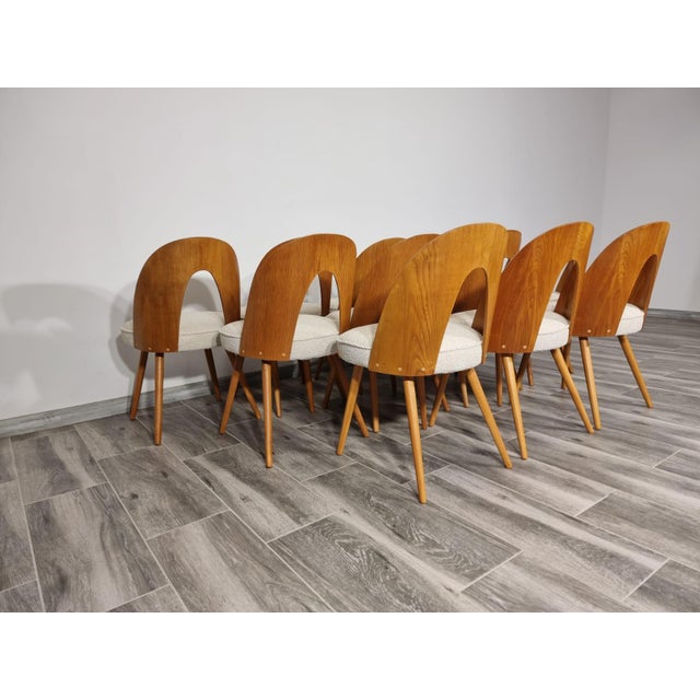 Dining Chairs from Antonin Suman, 1960s, Set of 12 For Sale - Image 10 of 18
