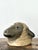Gray Vintage Painted Ram Bust For Sale - Image 8 of 18