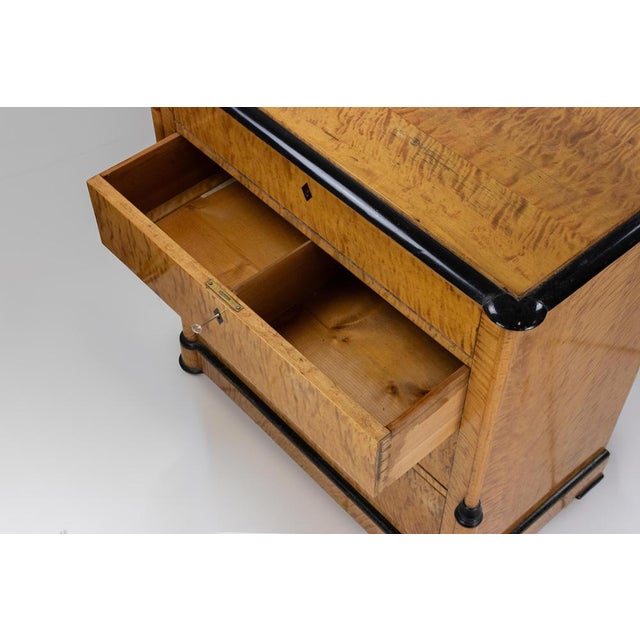 Brown Biedermeier Chest of Drawers with Maple and Ebonized Accents, Austria For Sale - Image 8 of 9