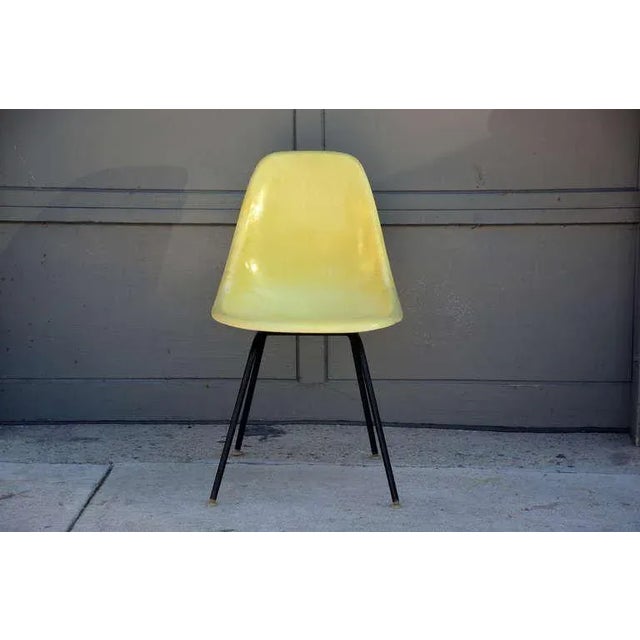 1960s Vintage Eames Chairs by Herman Miller - Set of 4 For Sale - Image 10 of 11