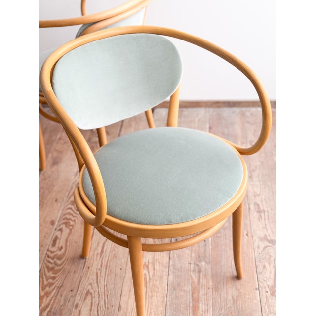 210 P Bentwood Armchairs in Beech with Velvet in Sage Cover by Michael Thonet for Thonet, Germany, 1989, Set of 4 For Sale - Image 9 of 18