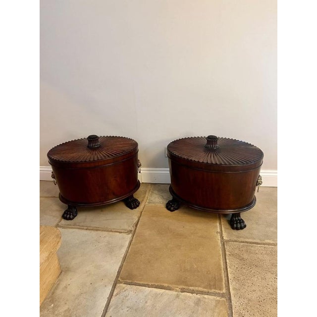 Antique George III Mahogany Wine Coolers, 1800s, Set of 2 For Sale - Image 3 of 18