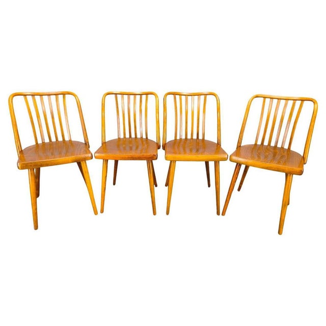 Dining Chairs by Antonin Suman for Ton, 1960s, Set of 4 For Sale - Image 18 of 18