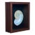 Framed Nautilus Shell For Sale