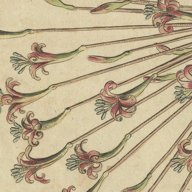 Beige Bertuch, Brunsvigia Candelabra Lily Flower Head, 1815, Print For Sale - Image 8 of 12