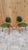 Green Mid Century Modern Plywood Dining Chairs by Joe Atkinson for Thonet - Set of 4 For Sale - Image 8 of 9