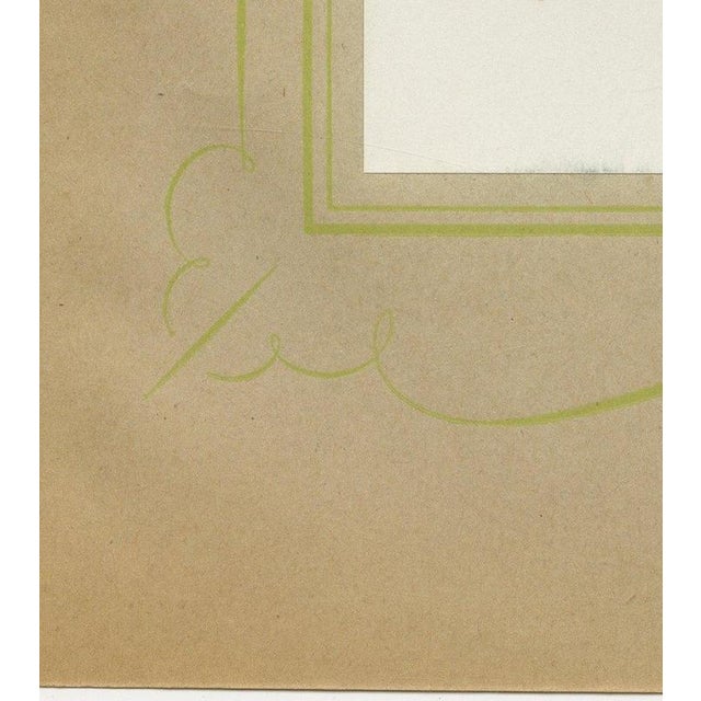 Black After Descourtilz, Purple-Throated and Other Cotingas, 1944, Paper For Sale - Image 8 of 12