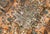Antique hand-woven Kerman rug in original good condition. The rug is from the beginning of 20th century. -condition:...
