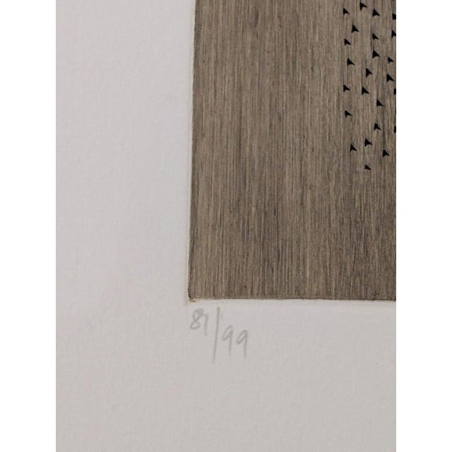 Arthur Luis Piza, Space in Circles, 1974, Engraving For Sale - Image 4 of 5