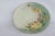 Ceramic Thomas Bavaria Porcelain Hand Painted Green and Yellow Flowers Small Plate For Sale - Image 7 of 7