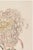 Japanese Blush Mum by Hasegawa, Vintage Japanese Botanical Art Print, 40" X 60" For Sale - Image 3 of 11