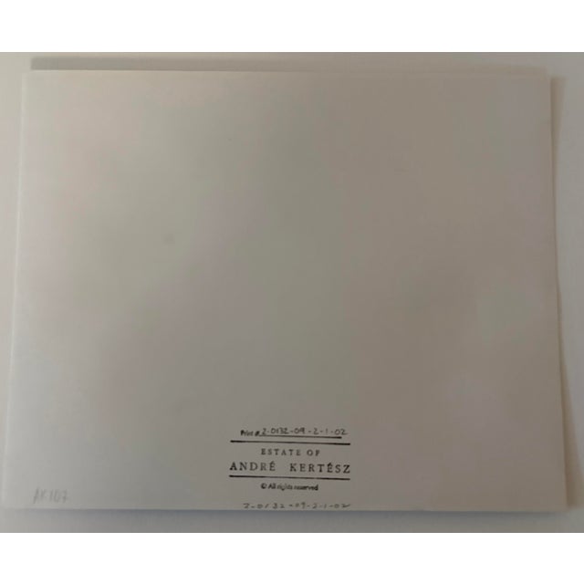 Contemporary Chairs of Paris 1927 by André Kertész For Sale - Image 4 of 4