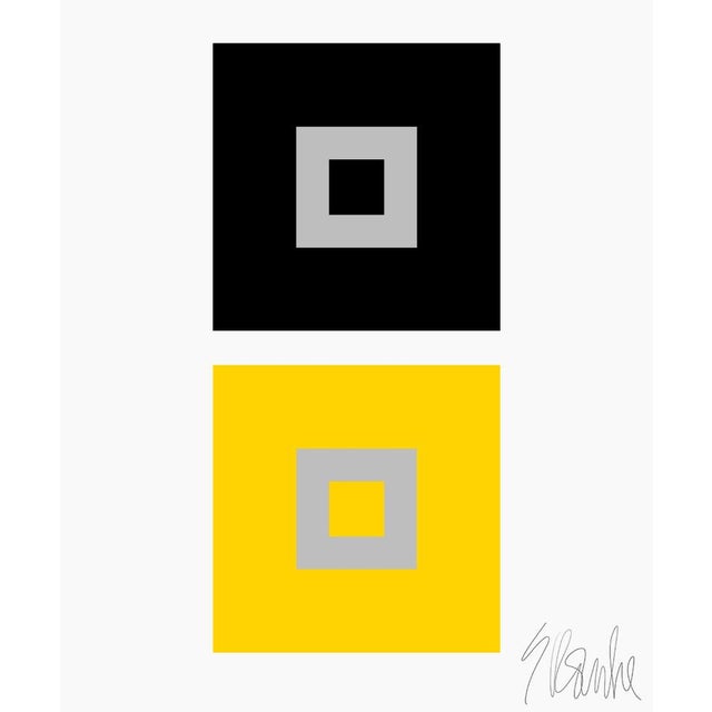 Dynamic Color Change No.2 Fine Art Print 16" X 20" by Liz Roache For Sale