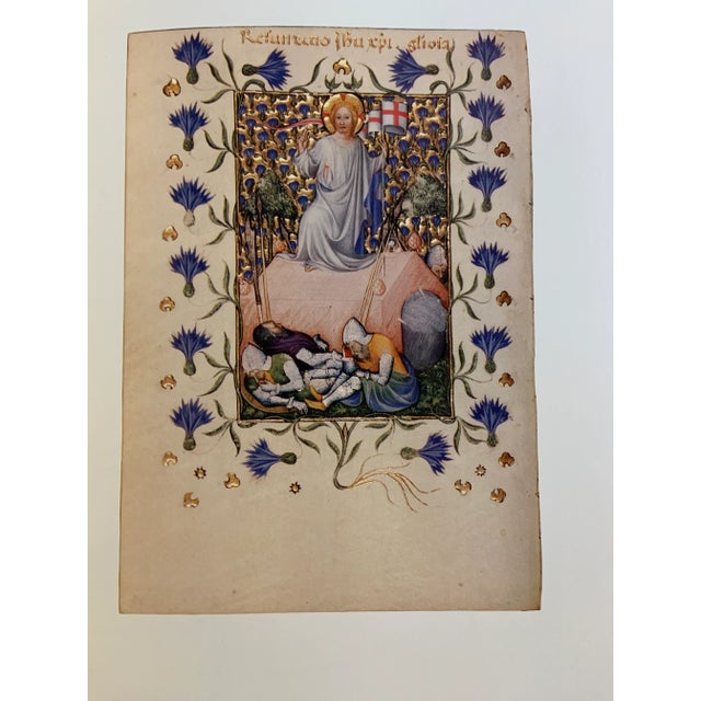 1980 Flowers in Books and Drawings Book For Sale - Image 12 of 13