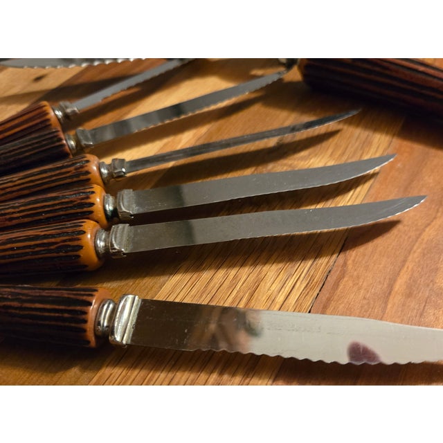Wood Bakelite Horn Carving Set and 12 Steak Knives- Set of Fourteen For Sale - Image 7 of 15
