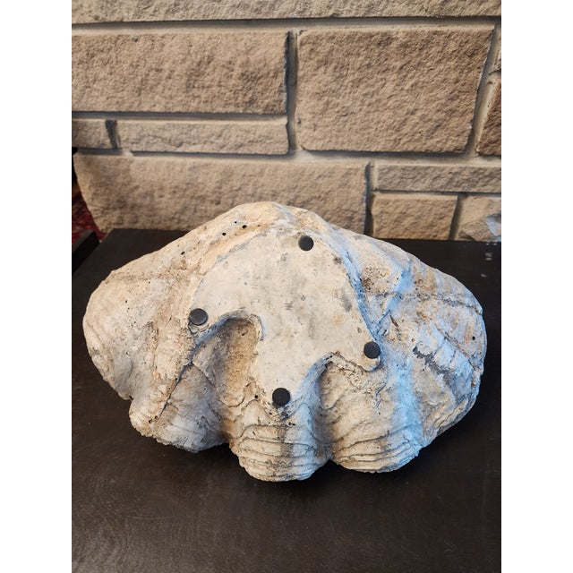 Eggshell Rare and Fabulous Antique Metal Swan Bird Feeder. For Sale - Image 8 of 11