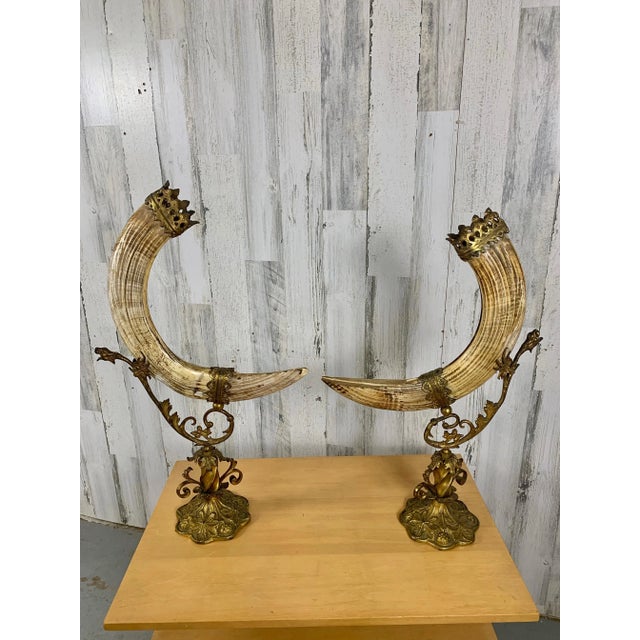 Art Nouveau Antique Wild Boar Trophies For Sale - Image 3 of 12