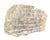 Ammonite and Orthoceras Fossil Plaque - Organic Modern Prehistoric Art For Sale - Image 9 of 10