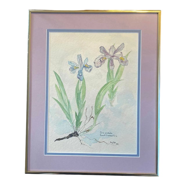 Late 20th Century Virginian Botanical Still Life Study “Iris Cristata Dwarf Iris” by Artist Kay Ogle 1991 For Sale