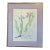 Late 20th Century Virginian Botanical Still Life Study “Iris Cristata Dwarf Iris” by Artist Kay Ogle 1991 For Sale
