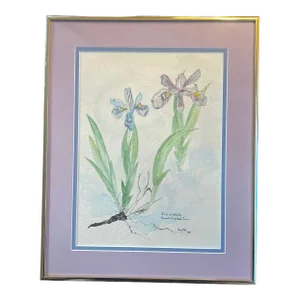 Late 20th Century Virginian Botanical Still Life Study “Iris Cristata Dwarf Iris” by Artist Kay Ogle 1991