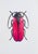 Contemporary Juris Utans, Purple Beetle, 2021, Mixed Media on Paper For Sale - Image 3 of 3