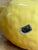 Vintage Italian Yellow Ceramic Lemon For Sale In West Palm - Image 6 of 10