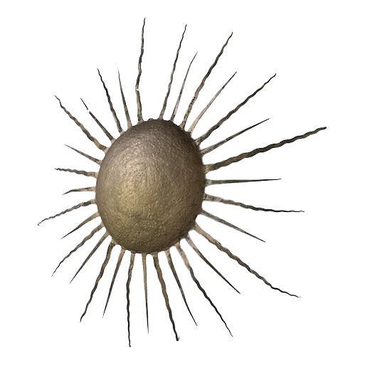 Sun Wall Sconce, 1950s For Sale
