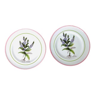 Vintage Primula Italian Pottery " Veronica Anagellis-Aquatica" Plates- Set of 2 For Sale