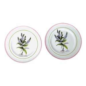 Vintage Primula Italian Pottery " Veronica Anagellis-Aquatica" Plates- Set of 2