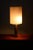 Table lamp with teak and brass. The shade is made from glass fibre. This large lamp has 2 fittings (e27) which can be...