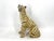 Ceramic Ceramic Hand Painted Leopard, Italy, 1960s For Sale - Image 7 of 7