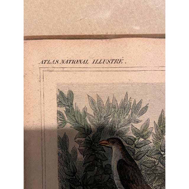 c.1850 Victor Levasseur Hand-Colored Map Dept De La Moselle Antique Framed For Sale - Image 9 of 12