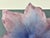 Daum France Amaryllis Amethyst Pate De Verre Crystal Vide-Poche Bowl Signed in Original Box For Sale - Image 11 of 14