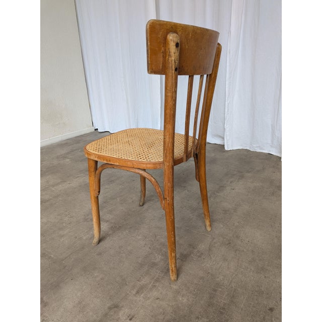 Wood Vintage Boho Cane Seat Dining Chair, Yugoslavia, 1970s For Sale - Image 7 of 18