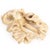 Moose Antler Octopus – Eight Arms of Awesome This spectacular cephalopod is making waves in the world of art! Hand-carved...